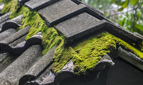 Nettoyage et démoussage de toiture à Saint-Cloud (92210) dans les Hauts de Seine (92)